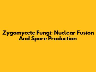 Zygomycete Fungi: Nuclear Fusion And Spore Production